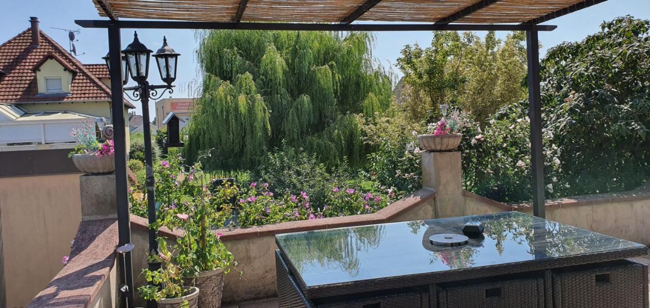 Maison De Vacances Avec Piscine, Proche Strasbourg Et Europa Park Sand Zewnętrze zdjęcie