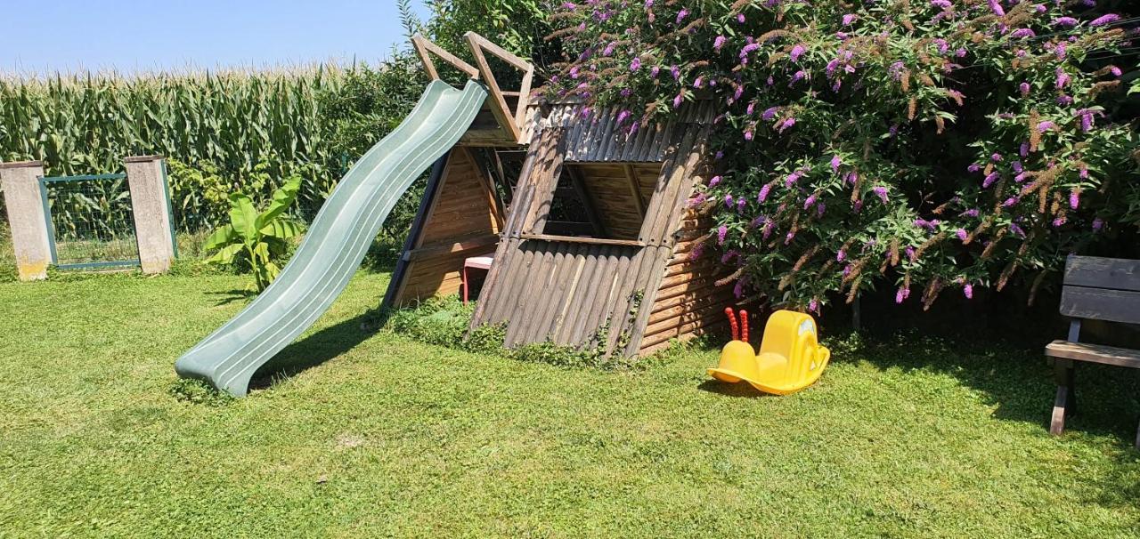Maison De Vacances Avec Piscine, Proche Strasbourg Et Europa Park Sand Zewnętrze zdjęcie